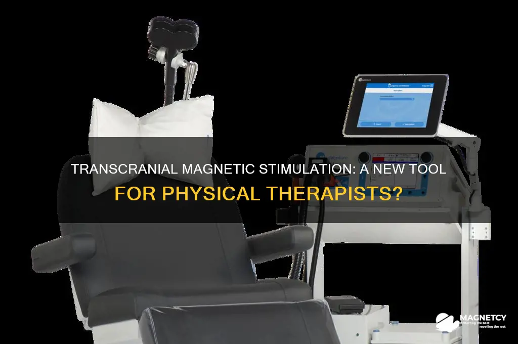 can physical therapist