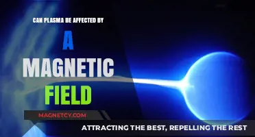 Magnetic Fields and Plasma: Exploring Interactions and Effects