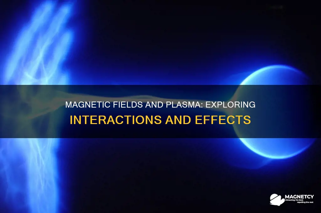 can plasma be affected by a magnetic field