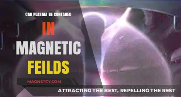 Magnetic Fields: The Key to Containing Plasma in Fusion Research?