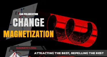 Polarization's Impact: Can It Alter Magnetization in Materials?