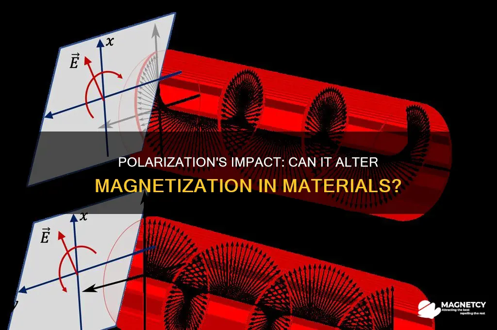 can polarization change magnetization