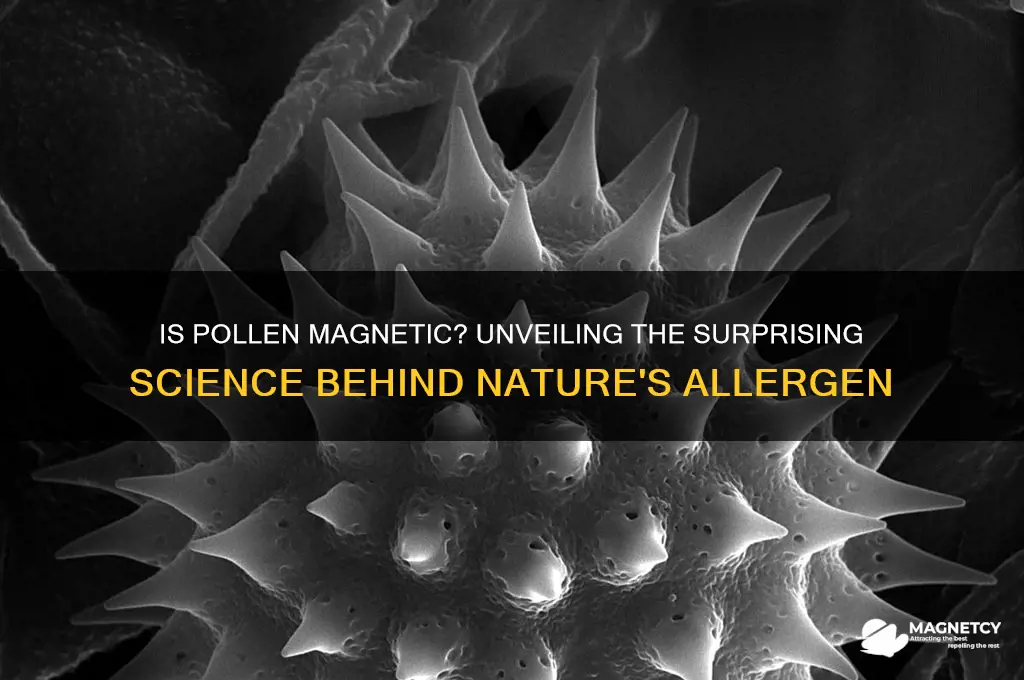 can pollen be magnetic