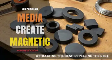 Exploring Porcelain Media's Potential for Magnetic Properties: A Scientific Inquiry