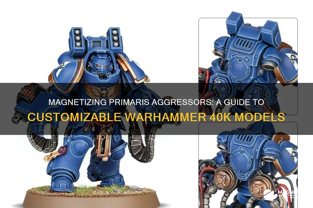 can primaris aggressors be magnetized