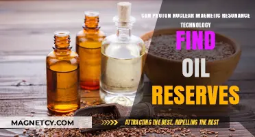Proton NMR Technology: A Game-Changer for Oil Reserve Detection?