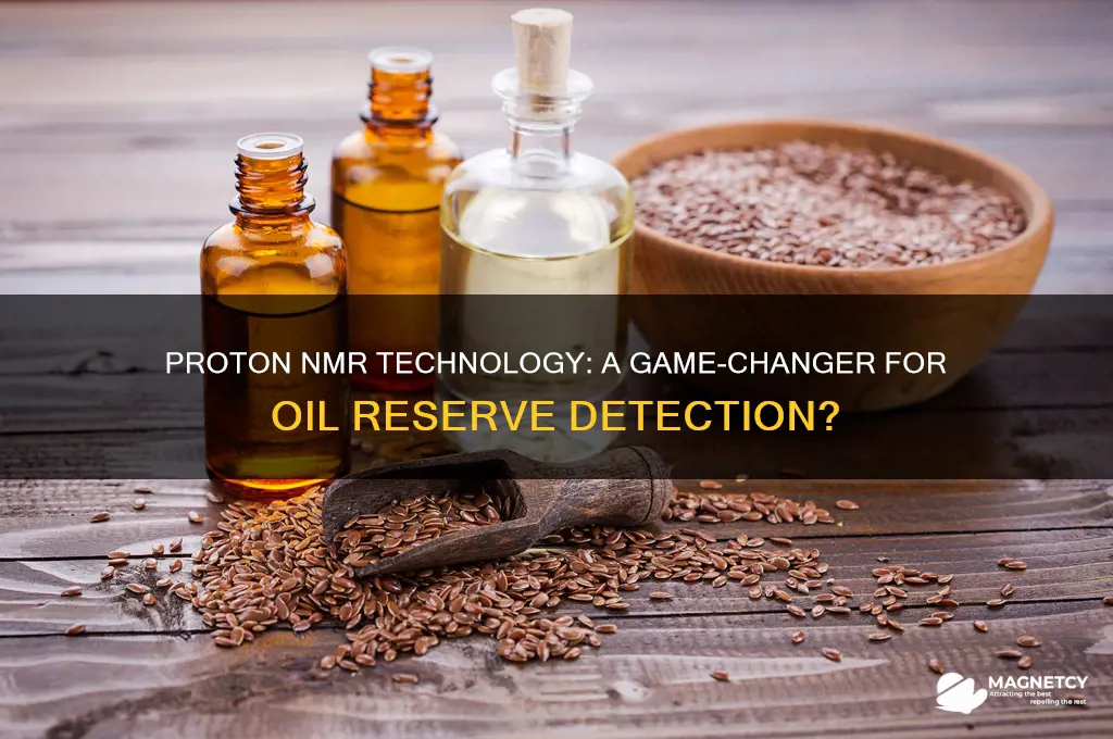 can proton nuclear magnetic resonance technology find oil reserves