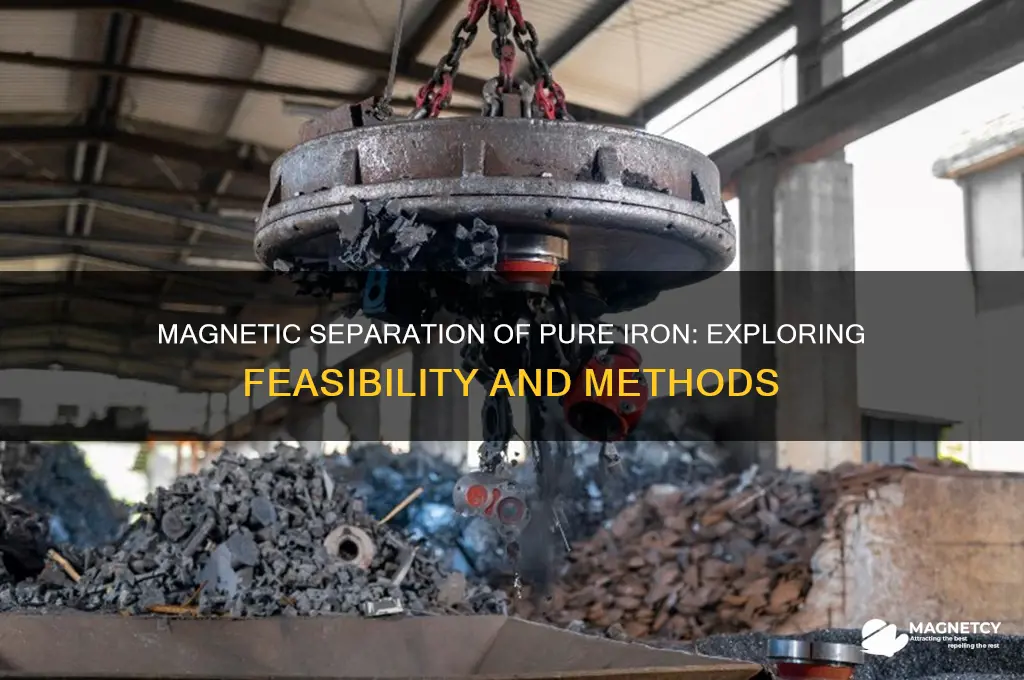 can pure iron be separated by a magnet