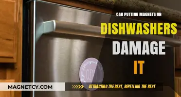 Can Magnets on Dishwashers Cause Damage? Expert Insights