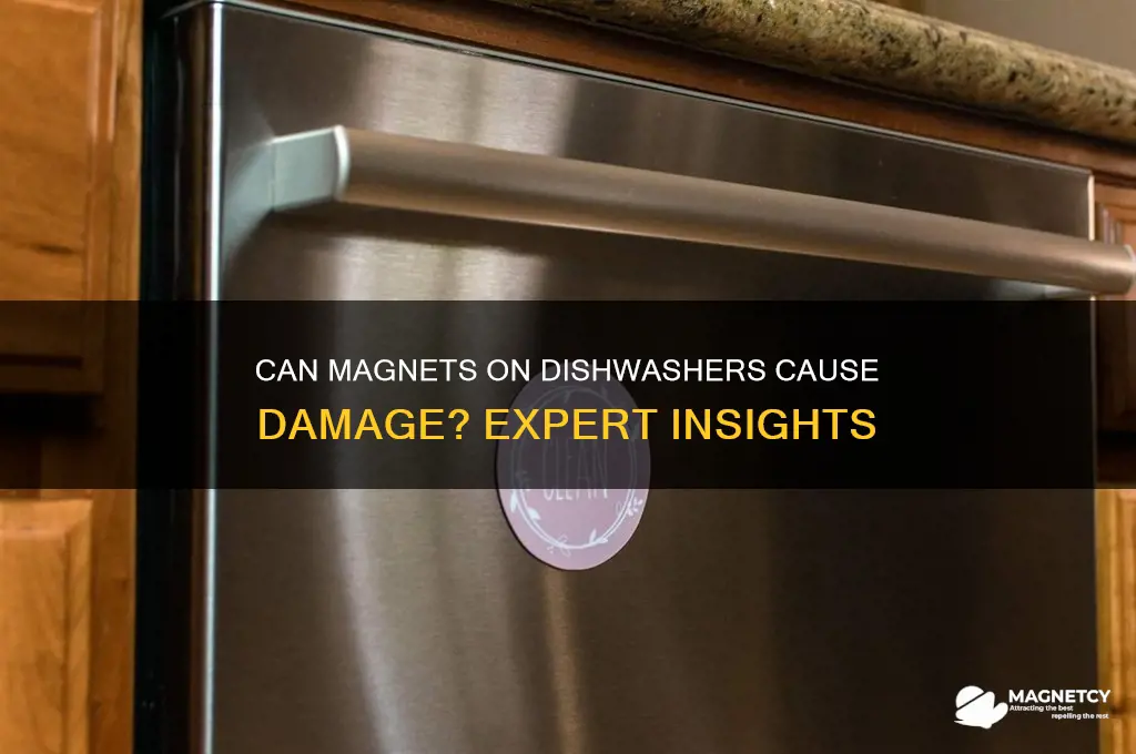 can putting magnets on dishwashers damage it