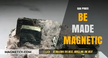Can Pyrite Be Made Magnetic? Exploring Its Magnetic Potential
