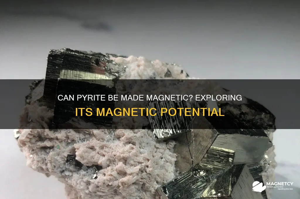 can pyrite be made magnetic
