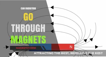 Can Radiation Penetrate Magnets? Exploring the Science Behind the Myth