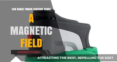Can Range Finder Sensors Detect Magnetic Fields? Exploring Capabilities