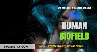 Rare Earth Magnets: Unlocking Human Biofield Potential and Energy Healing