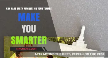 Rare Earth Magnets on Temples: Myth or Mind-Boosting Reality?