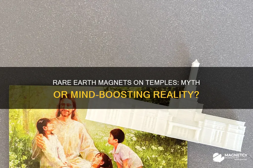 can rare earth magnets on your temple make you smarter