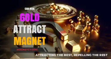 Does Real Gold Attract Magnets? Unveiling the Magnetic Truth