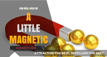 Is Real Gold Magnetic? Unveiling the Surprising Truth About Gold's Magnetism