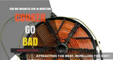 Can Induction Cooker Magnetic Coils Fail Over Time?
