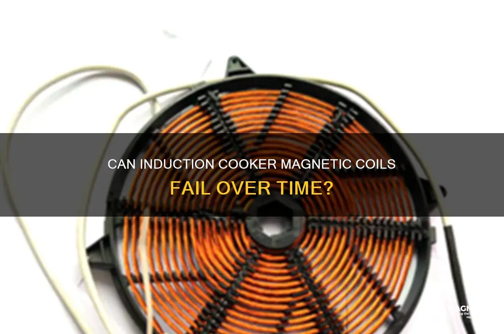 can rhe magnetic coil in induction cooker go bad