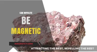 Is Rhyolite Magnetic? Unveiling the Truth About Its Properties