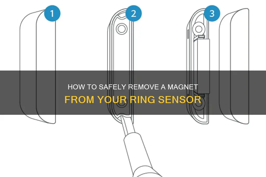 can ring sensor magnet remover