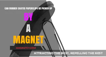 Rubber Coated Paperclips: Magnetic Attraction or Repellent Mystery?