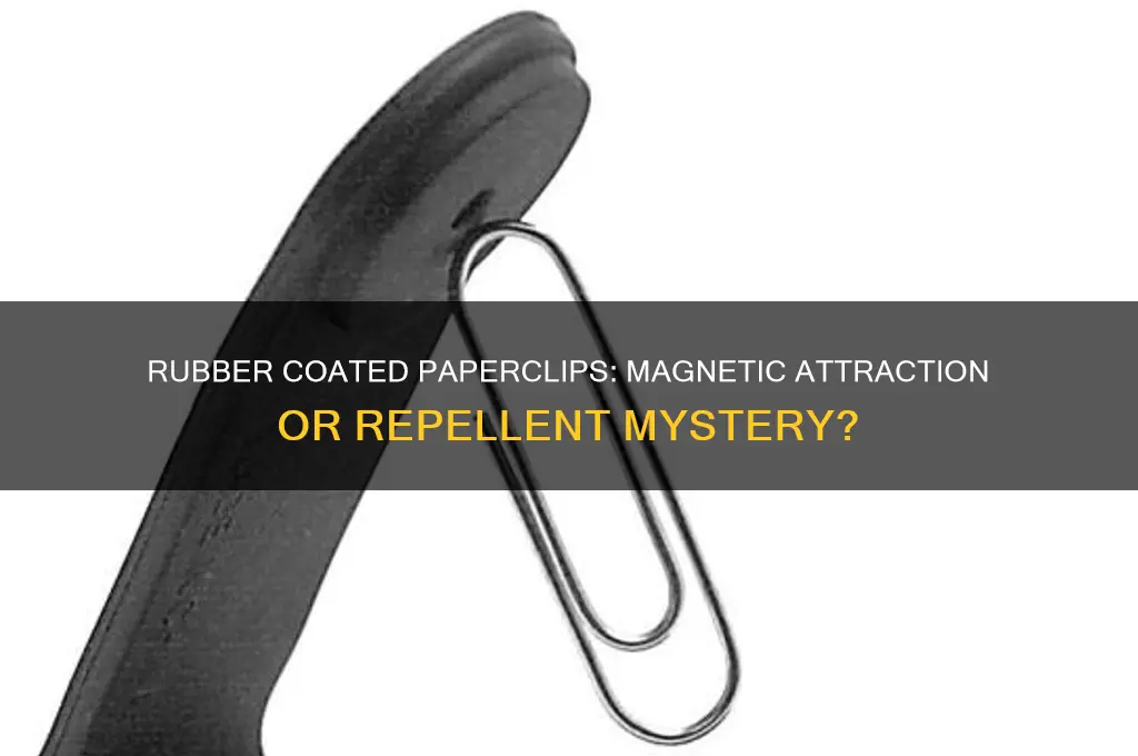 can rubber coated paperclips be picked up by a magnet