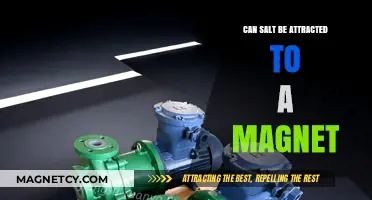 Can Salt Be Magnetically Attracted? Exploring the Science Behind It