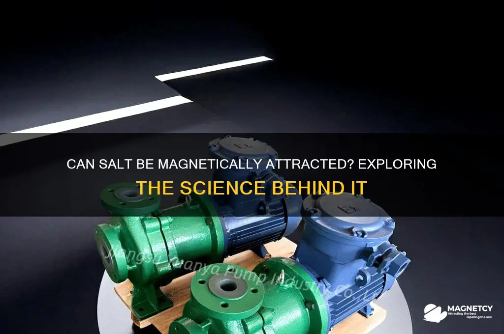 can salt be attracted to a magnet