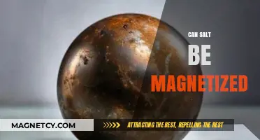 Can Salt Be Magnetized? Exploring the Science Behind Magnetic Properties