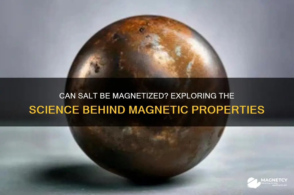can salt be magnetized