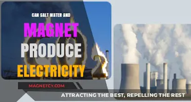 Harnessing Energy: Salt Water and Magnets as Electricity Generators
