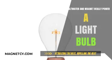 Saltwater and Magnets: Can They Power a Light Bulb?