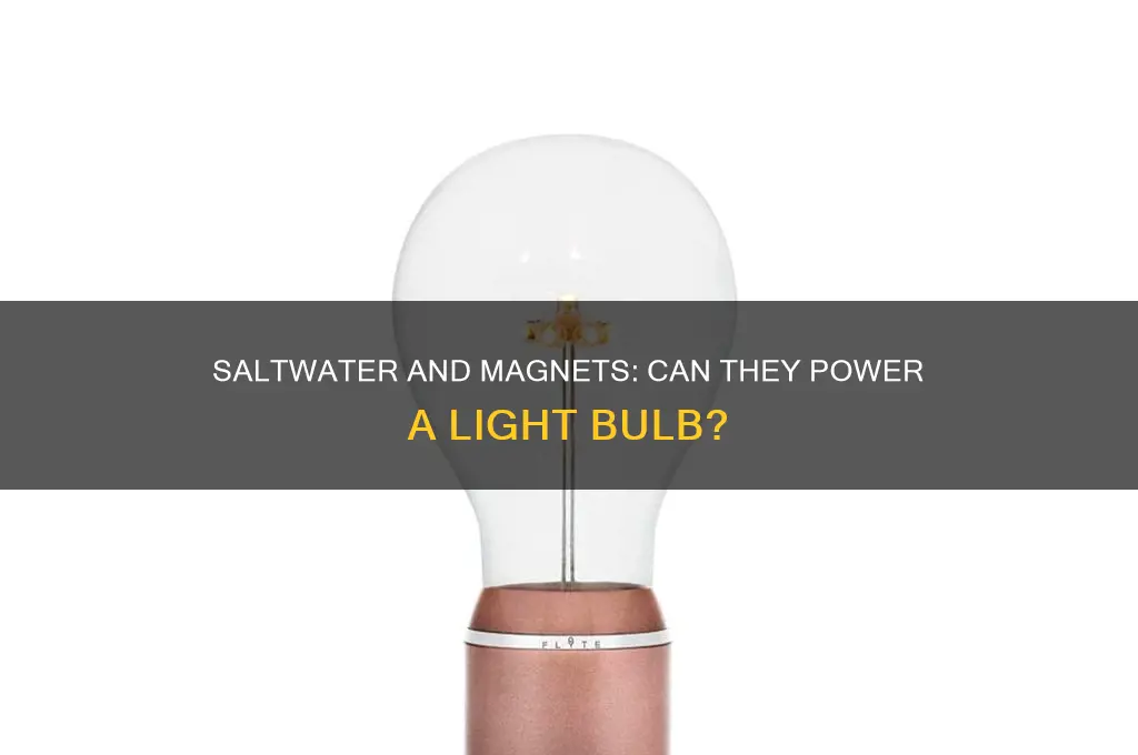 can saltwater and magnet really power a light bulb