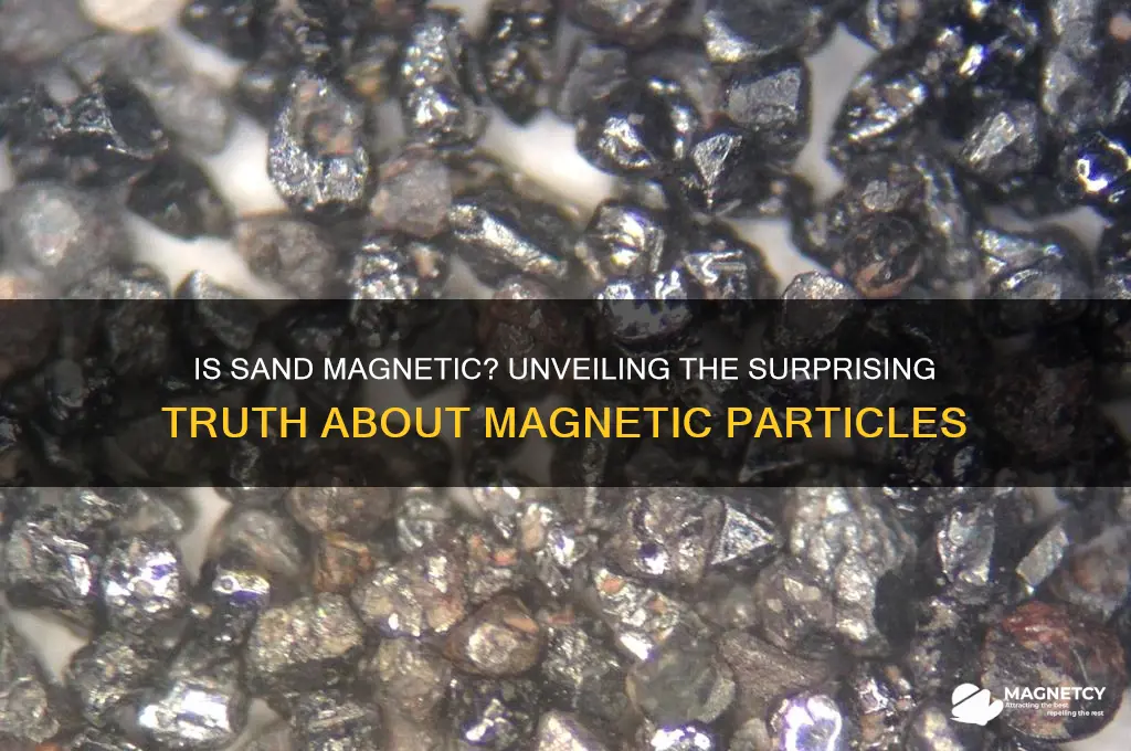 can sand be magnetic