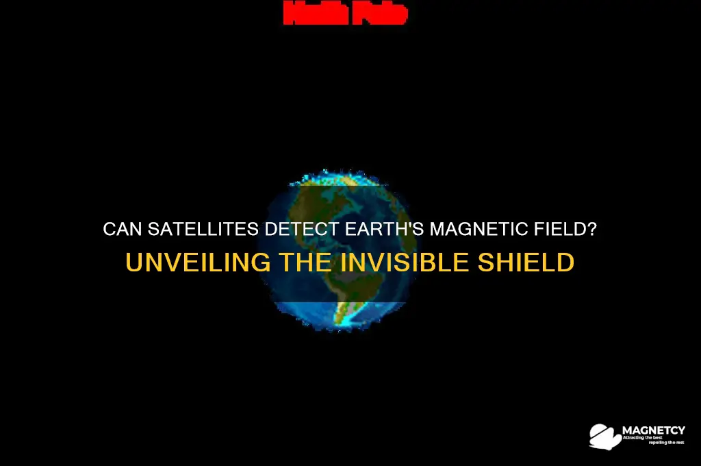 can satalites see the earth magnetic field