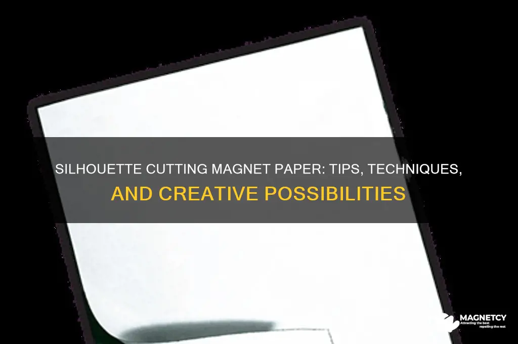 can silhouette cut magnet paper