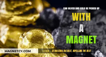 Magnetic Metals: Can Silver and Gold Stick to Magnets?