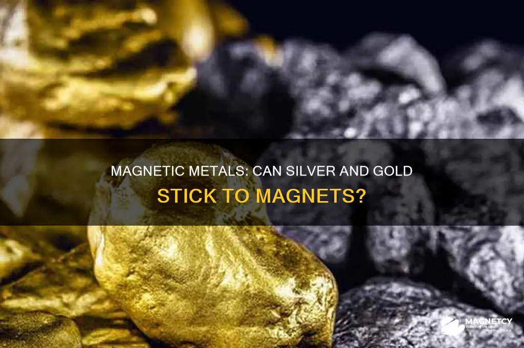 can silver and gold be picked up with a magnet