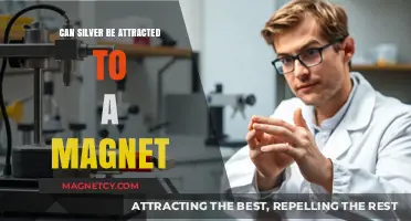 Is Silver Magnetic? Unveiling the Truth About Silver and Magnets