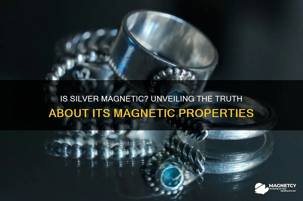 can silver be magnetic