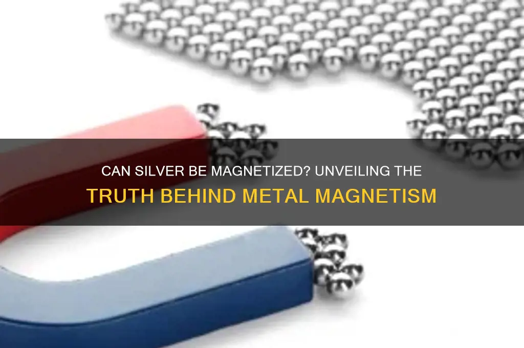 can silver be magnetized