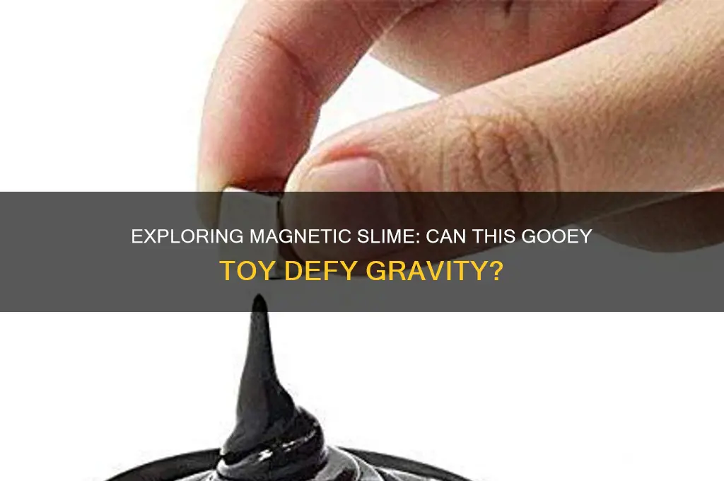 can slime be magnetic