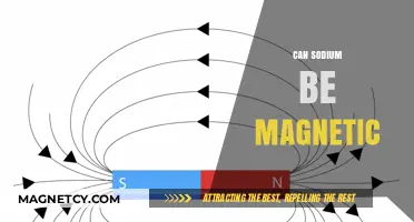 Exploring Sodium's Magnetic Properties: Unveiling the Truth Behind the Myth