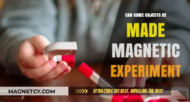 Exploring Magnetism: Can Everyday Objects Be Made Magnetic?