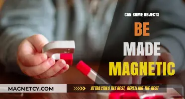 Can Everyday Objects Be Magnetized? Exploring Magnetic Potential