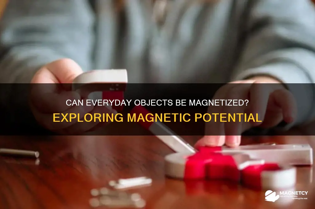 can some objects be made magnetic