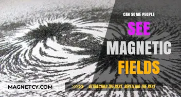 Can Humans Perceive Magnetic Fields? Exploring the Science Behind the Phenomenon